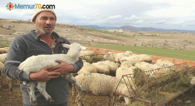 (Özel) Afyonkarahisar’ın ‘Mandıra Filozofu’na Korona uğramıyor