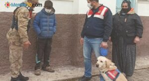 Kayıp çocuğu 6 saat sonra iz takip köpeği buldu