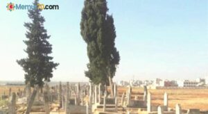 Suriyeli diye mezar yeri vermediler