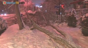 Anadolu Yakası’nda yoğun kar yağışından dolayı ağaçlar devrildi