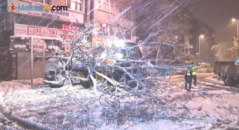 Kağıthane’de yoğun kar yağışı nedeniyle yol kenarındaki ağaç devrildi
