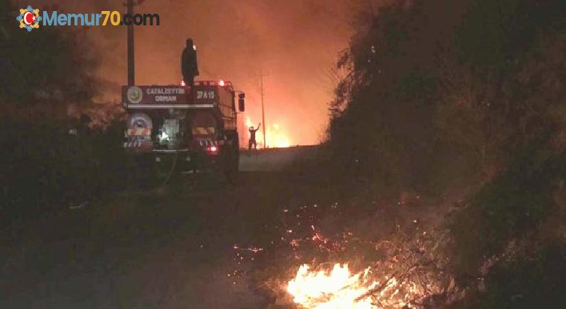 Kastamonu’da çıkan orman yangını mahalleye sıçradı