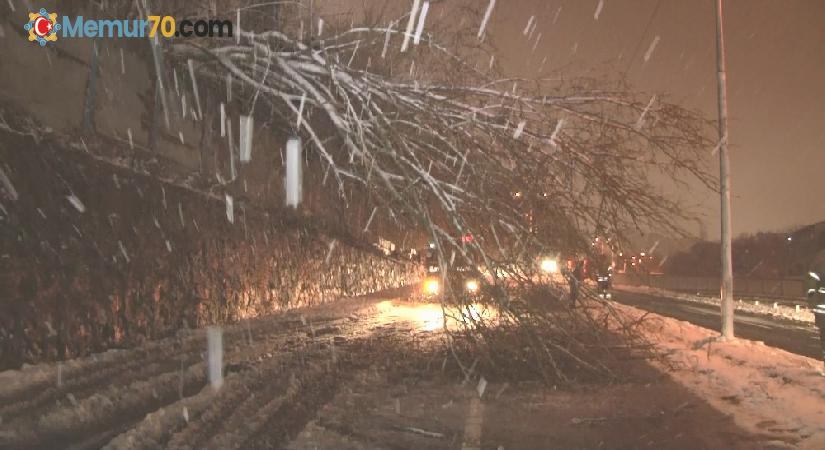 Sarıyer’de aşırı kar yağışı nedeniyle savrulan ağaç yola devrildi