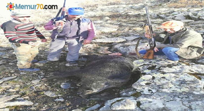 Tarım arazilerine zarar domuzlar öldürüldü