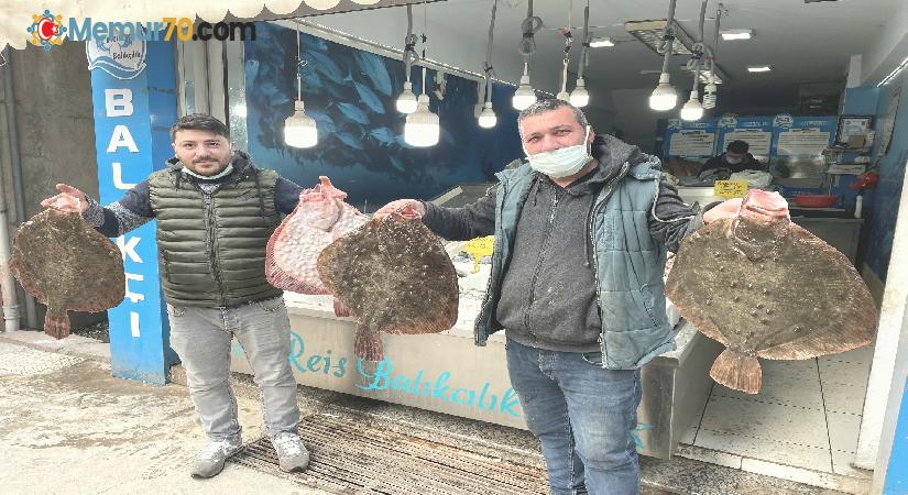 Karadeniz’de kalkan balığı bereketi: Kilosu 200 TL