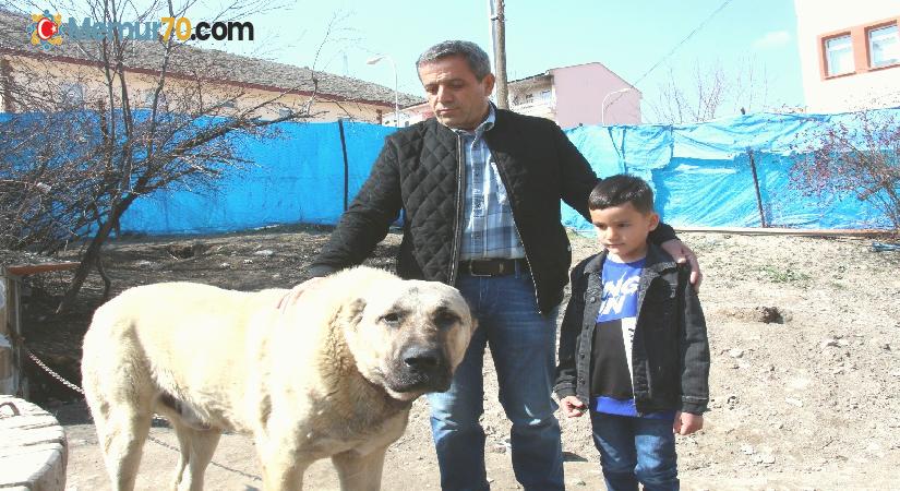 Köpek dile geldi; “Benim adım Ejder”