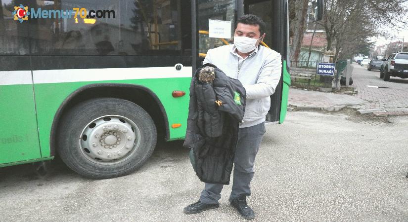 Otobüs şoförü yol kenarında bulduğu yaralı şahini ölümden kurtardı