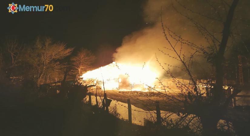 Sinop’ta ahır yangını: 12 büyükbaş hayvan telef oldu