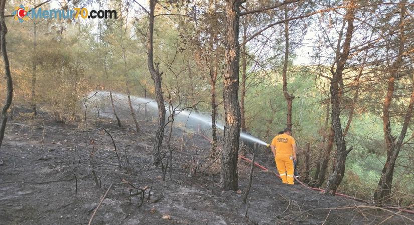 Osmaniye’deki orman yangını söndürüldü