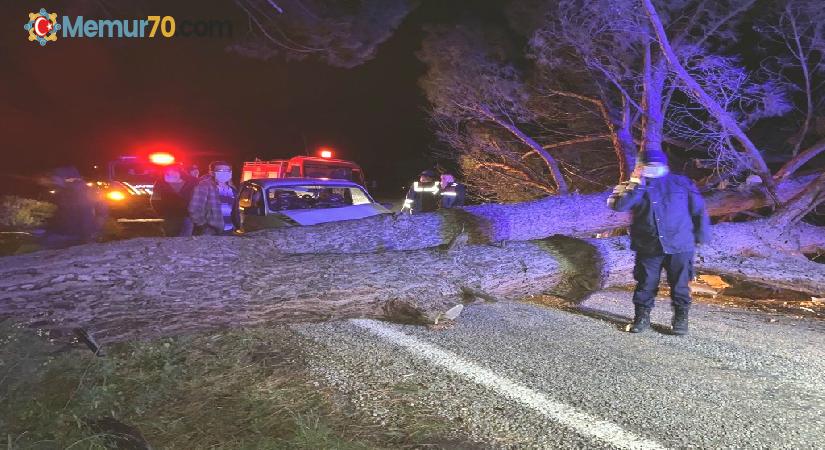 Otomobil devrilen ağaca çarptı: 3 yaralı