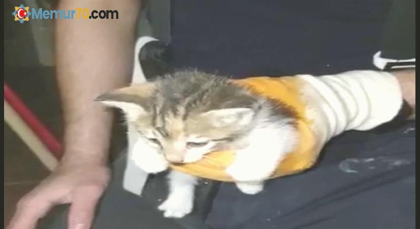 Su borusuna sıkışan yavru kedi kurtarıldı