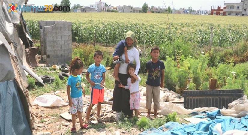 Çadırda yaşayan tarım işçisi aileye 7 bin lira su borcu