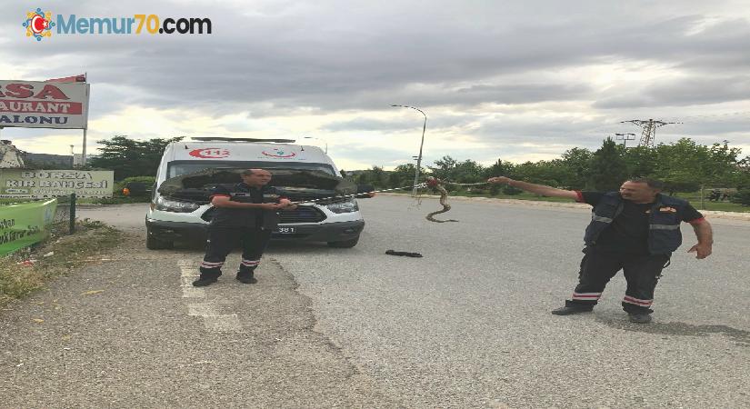 Ambulanstan çıkanı görenler gözlerine inanamadı