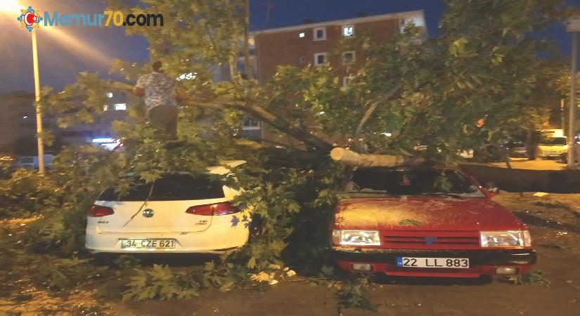 Edirne’de fırtına ağaçları araçların üzerine devirdi