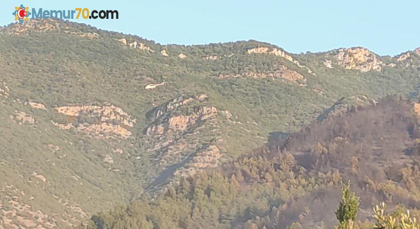 Hatay’da çıkan orman yangını kontrol altına alındı