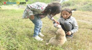 Köyün gençleri annesiz kalan yavru köpeği biberonla besliyor