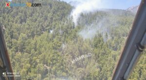 Manavgat’ta çıkan yangında 2 dönümlük kızılçam ormanı zarar gördü