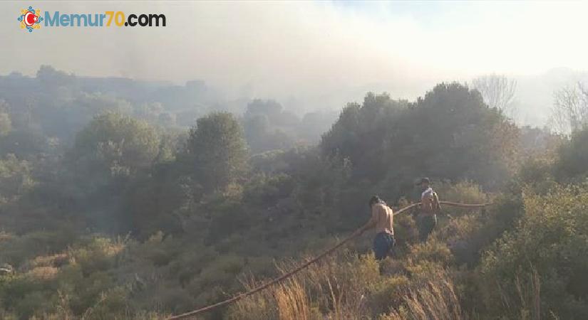 Datça’da yeni orman yangını başladı