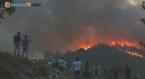 Orman Eski Genel Müdürü: Yangınlar planlı bir şekilde çıkarıldı