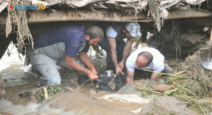 Yüksekova’da sel felaketi: 500 koyun sele kapıldı, telef oldu ve kayboldu