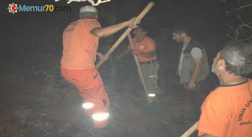 Bingöl’de çıkan orman yangını söndürüldü