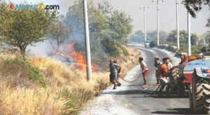 Yangın geniş bir alana yayıldı, vatandaşlar da seferber oldu