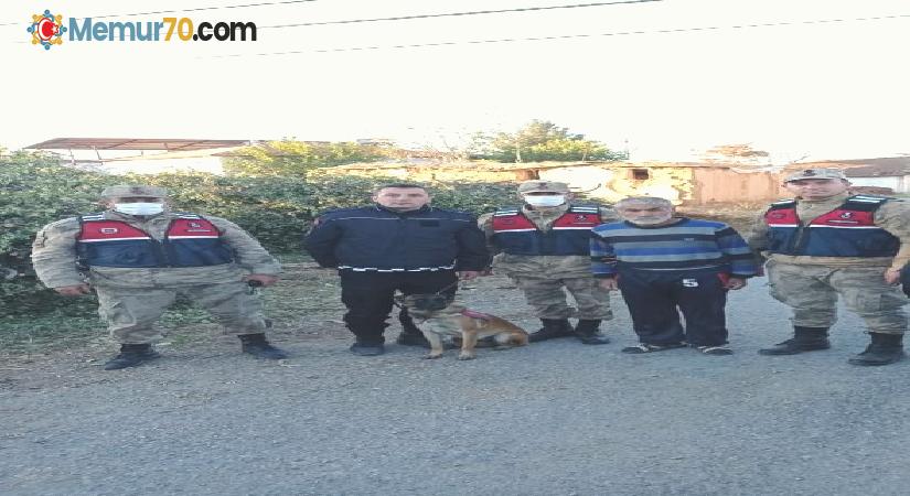 Alzheimer hastası yaşlı şahsı iz takip köpeği buldu