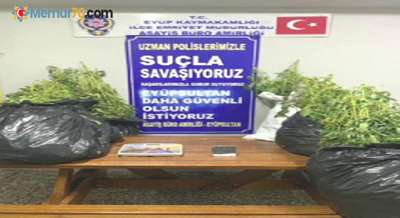 İstanbul’da 22 kilo marihuana ele geçirildi