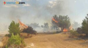 Silifke’de çalılık alanda çıkan yangın ormana sıçradı