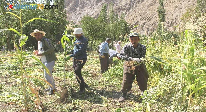 Hakkari’de kış hazırlığı