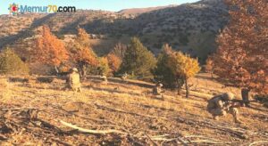 Kahramanmaraş’ta PKK’ya yönelik sonbahar-kış operasyonu