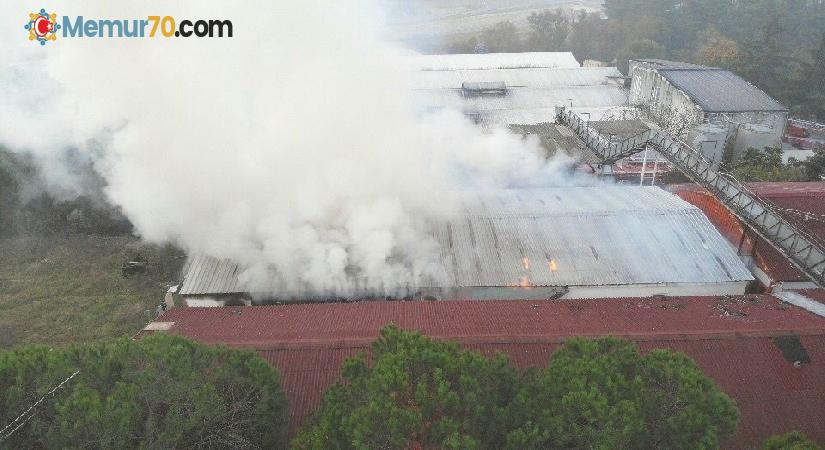 Maltepe’de 500 metrekarelik kağıt deposu alev alev yandı