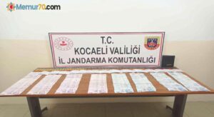 Ormanlık alandaki barakada kumar oynarken yakalandılar