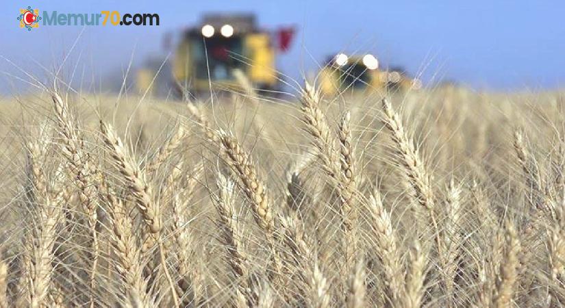 Buğday da Rusya-Ukrayna geriliminden nasibini aldı