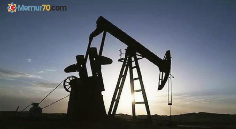 Brent petrolün varil fiyatı 113,14 dolar