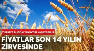 Türkiye buğday ıstırabı yaşar mı?