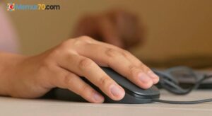 MEB, eğitim istatistiklerine “tek tık” ile kolay erişim imkanı getiriyor