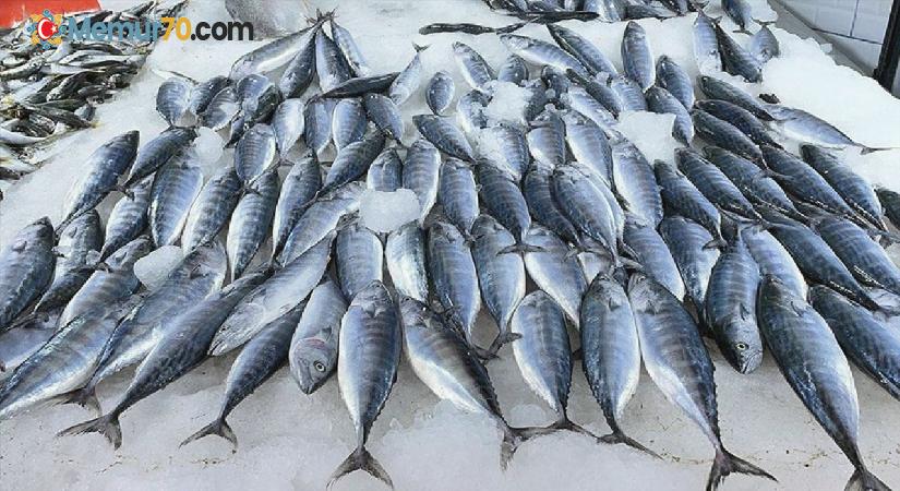 Karadeniz’de deniz suyu sıcaklığı balık avcılığını olumsuz etkiledi