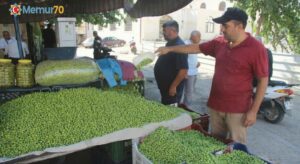 Kilis’te yerli sofralık zeytin tezgahlarda yerini aldı