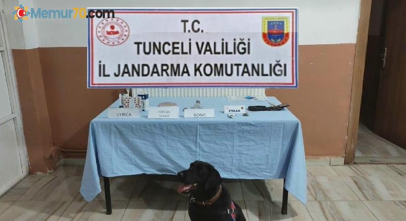 Tunceli’de zehir tacirlerine operasyon: 4 gözaltı