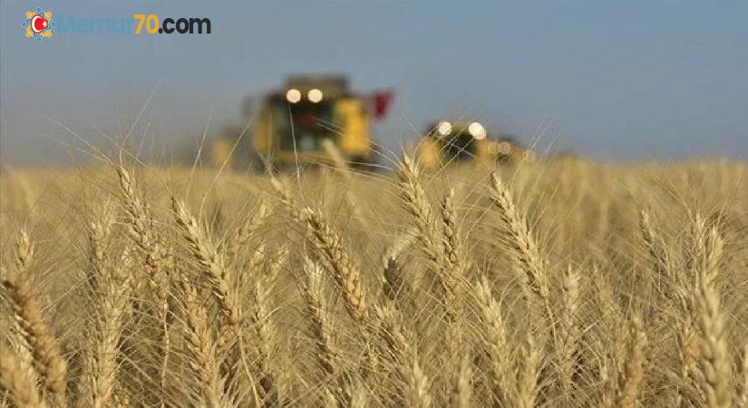 Buğday fiyatları arza dair beklentilerle geriledi
