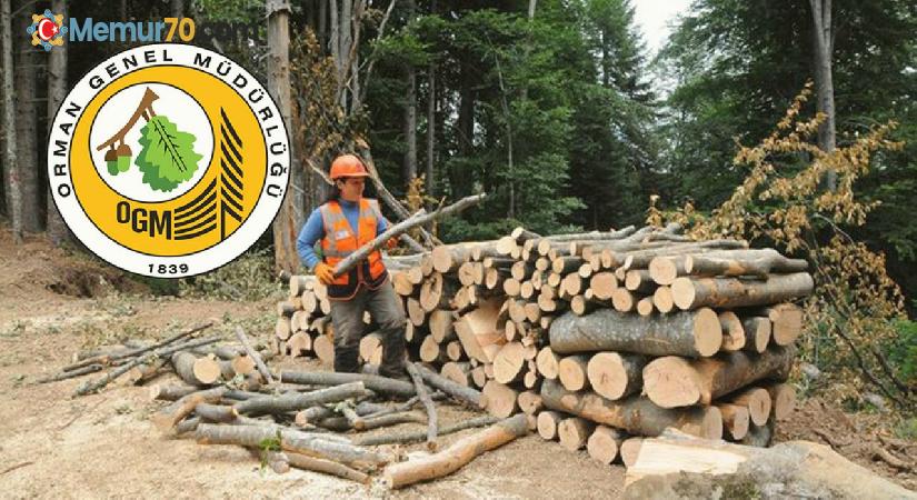Orman Genel Müdürlüğü personel alacak! İlköğretim ve lise mezunu başvuru…