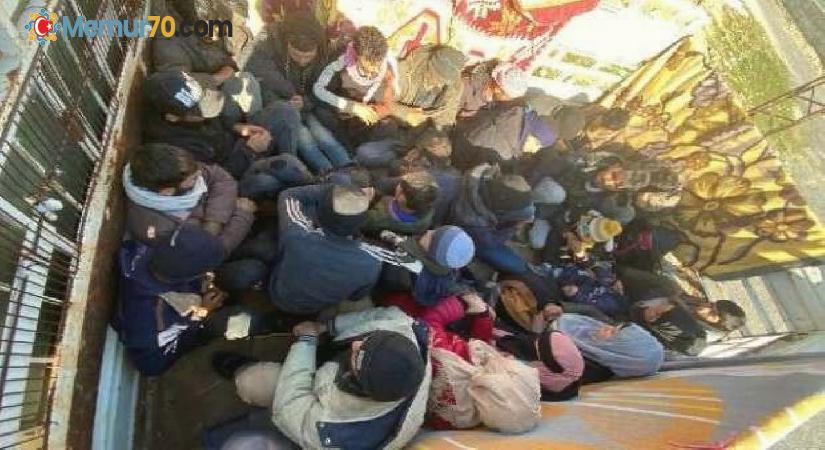 Şanlıurfa’da 83 kaçak göçmen yakalandı
