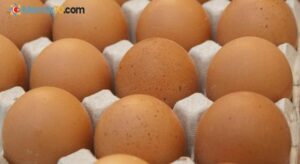 ABD’de yumurta fiyatlarında büyük düşüş