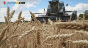 Bakan Vahit Kirişci’den buğday fiyatı açıklaması