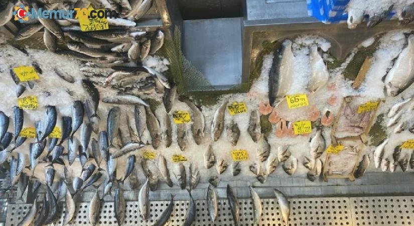 Balık fiyatlarında düşüş: Vatandaş Karadeniz somonu ve yerli palamutu tercih etti