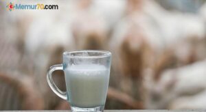 Çiğ süt fiyatlarındaki artış üreticiyi rahatlattı