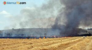 Edirne’de 250 dönüm buğday tarlası yandı