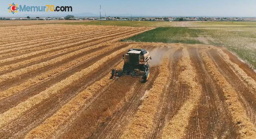 Tarım ÜFE haziranda aylık bazda 4,04 arttı