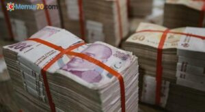 Ödenekte en yüksek pay Hazine ve Maliye Bakanlığı’na